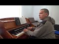 I Am Bound For The Promised Land | Organist Bujor Florin Lucian playing on Romanian Reed Organ