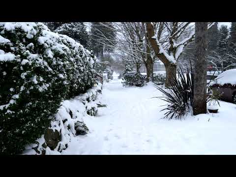 240fps Snow in Seattle on 12/26/21