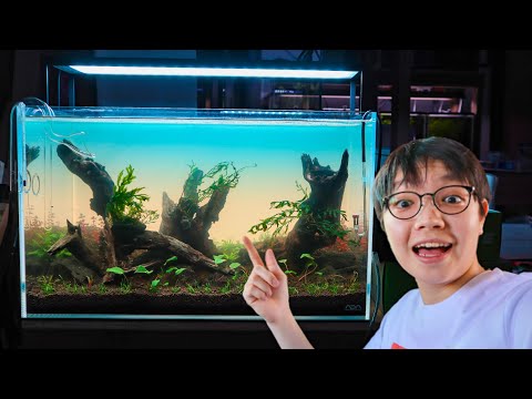 Tutorial ADA 60p
