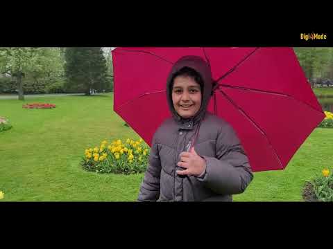 Keukenhof Tulip Barn | The Netherland in Spring 2023 and Rain Shower