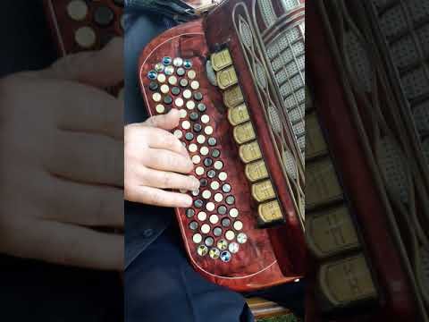 Piazzolla Tango Bandoneon at Sydney´s Royal Botanic Gardens