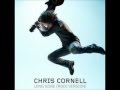 Chris Cornell - Long Gone (Rock Version) 