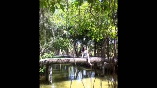 BESAME MUCHO   DALIDA