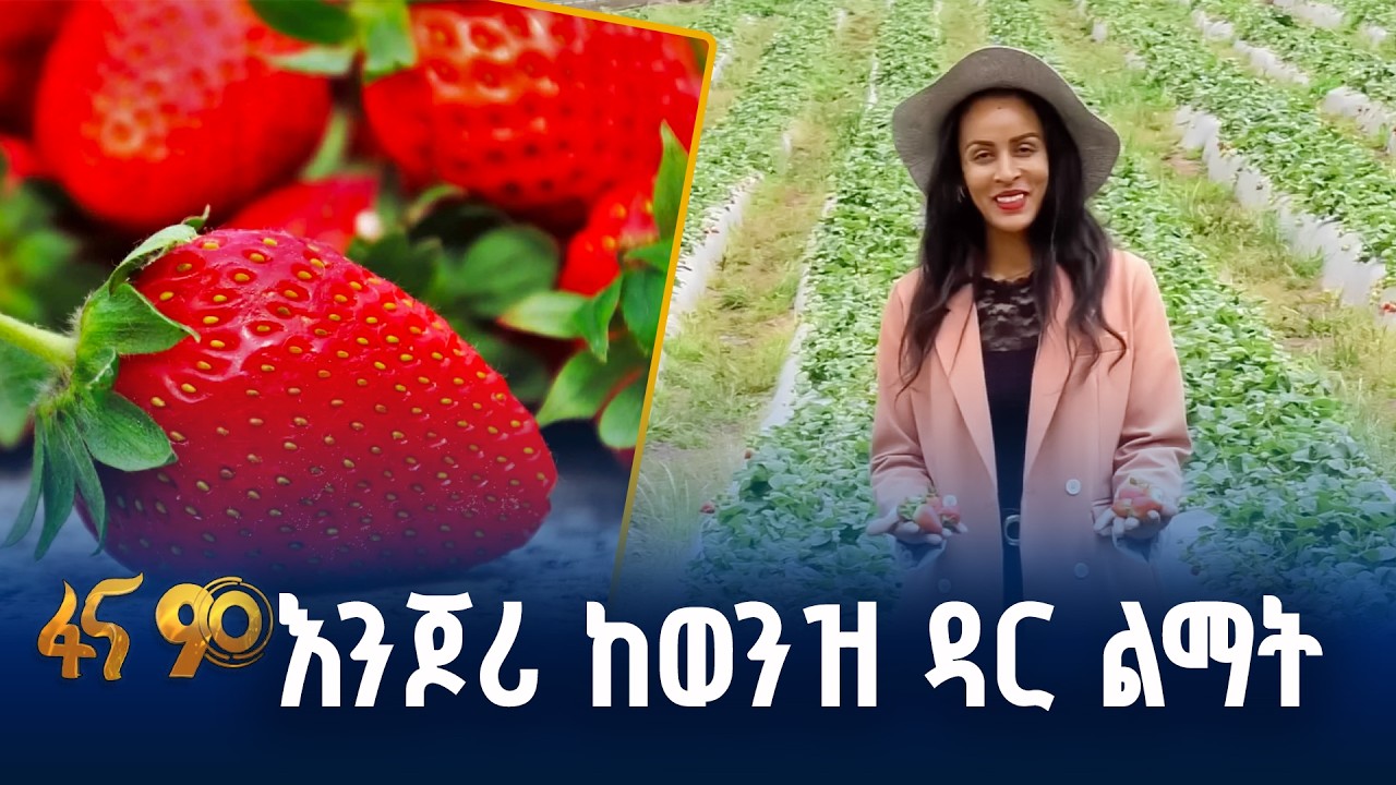 ምርቱ ለገበያ ቀረበ