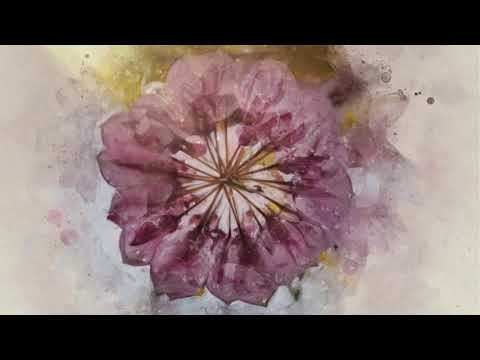 Kusht - O i Og i O ft. POAN