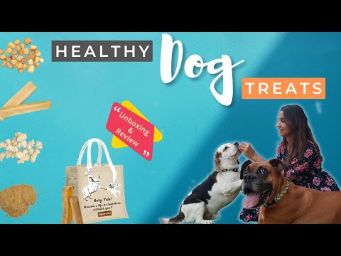 HEALTHY DOG TREATS 2022 | Himalayan Cheese Dog Treats | Dog Treats Unboxing | The Tails Tale