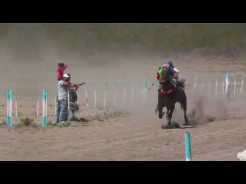 RAMOS MEXIA    GANADOR   CHE PETIZO   13-11-22