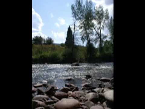 Drifting by Schel Reaux