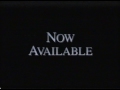 Buena Vista Now Available 1994 2004 Bumper