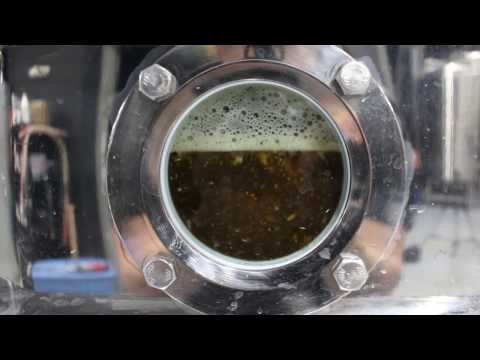 download lagu mp3 mp4 Lauter Tun, download lagu Lauter Tun gratis, unduh video klip Lauter Tun