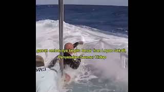 Download lagu Ikan Lepas Sekali, Penyesalan Seumur Hidup! Detik Menegangkan Saat Strek Besar #mancingmania mp3