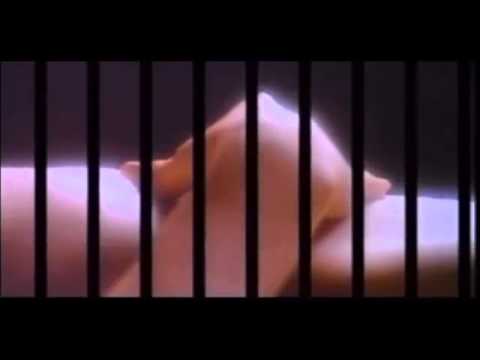 download lagu mp3 mp4 Delitto A Luci Rosse Streaming, download lagu Delitto A Luci Rosse Streaming gratis, unduh video klip Delitto A Luci Rosse Streaming