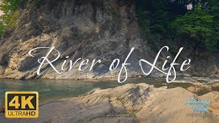 River of Life - Ambient Orchestral Classical Music &amp; Relaxing Video 4K Ultra HD