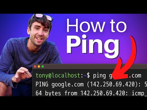 How To Use The ping Command (in Windows, Mac, and Linux)