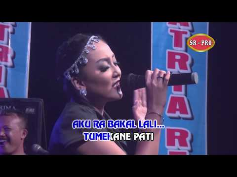 Elsa Safira - Kangen Kuto | Dangdut (Official Music Video)