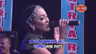 Download lagu Elsa Safira - Kangen Kuto | Dangdut ( Music Video) mp3 Download lagu Elsa Safira - Kangen Kuto | Dangdut ( Music Video) mp3