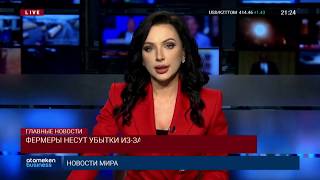ФЕРМЕРЫ НЕСУТ УБЫТКИ ИЗ-ЗА ЗАПРЕТА НА ЭКСПОРТ ЖИВОГО СКОТА