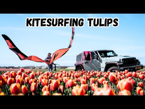 Kitesurfing Tulips