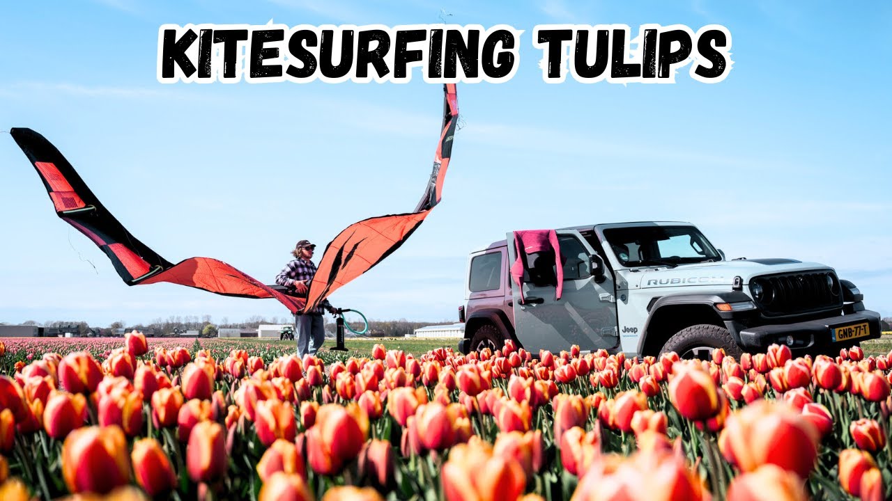 Kitesurfing Tulips