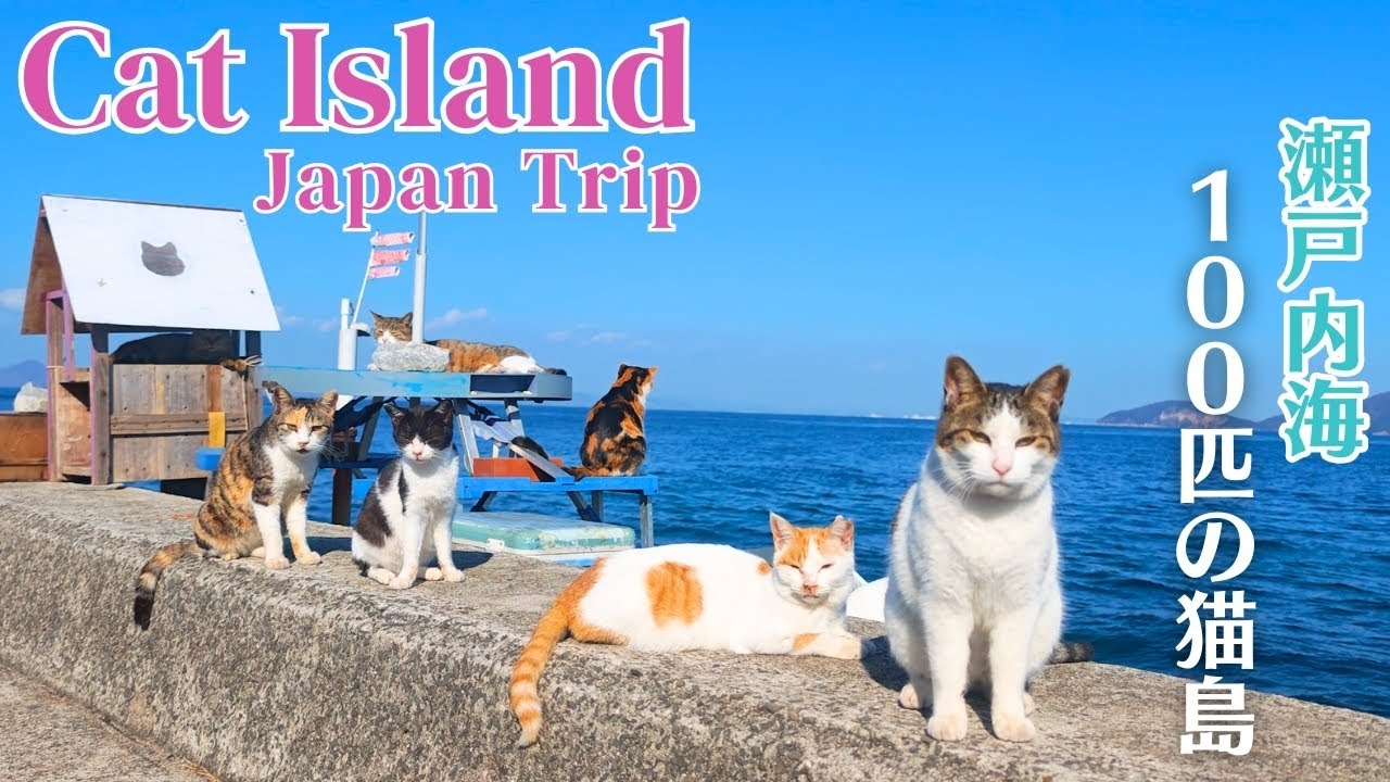 More Cats Than People on a Cat Island in Japan — About 100 Cats🐈🐈  |  Sanagi Island | 猫島 / 佐柳島