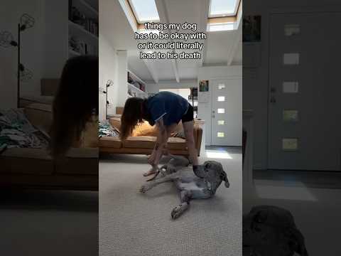 I Dont Want My Dog To Die.. so 🐾 w OnlyJayus - #Shorts