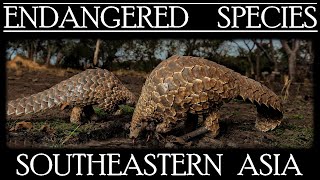 Endangered Species in Southeastern Asia