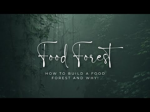 DIY Food Forest: Syntropic Techniques Simplified I 7 layers of plants