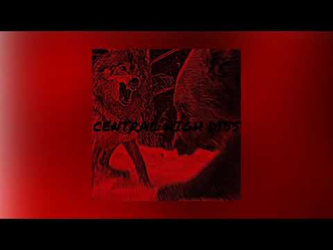 STRAIGHTJACKETSOCIETY - CENTRAL HIGH HISS ft. SJTOOGNAR x SHISUI x SXVLB0YX [PROD.SYLER]