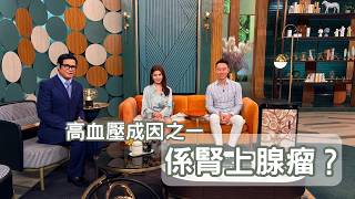 【腎上腺 | 腎上腺瘤】高血壓成因之一係腎上腺瘤? - 流行都市 (26.06.15)