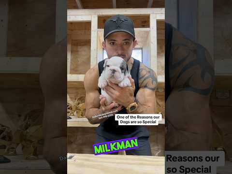 Charter Arms Bulldog - Good or Garbage? #wheelgun 