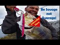 FISHING: How to catch BARRACUDAS  with a CAST HACKER! How and where they hunt, and how they strike!