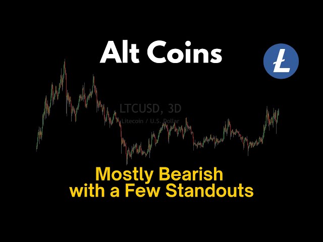 Josh Olszewicz – Altcoins: Mostly Bearish with a Few Standouts (20.02.2025 Summary)