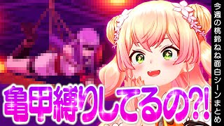 【5月1週目】今週の桃鈴ねね面白シーンまとめ【桃鈴ねね 兎田ぺこら 宝鐘マリン さくらみこ 尾丸ポルカ 雪花ラミィ 獅白ぼたん ホロライブ 切り抜き動画】ねねち最強伝説