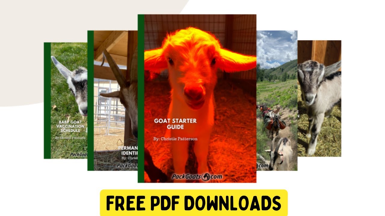 Everything You Need To Know To Be A Goat Owner In PDF For FREE