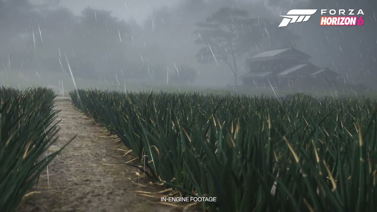 YouTube video: YouTube video player