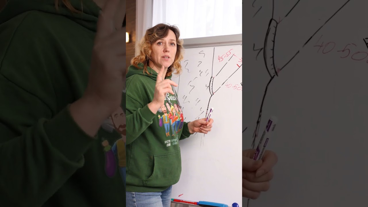 Как срезать большую ветку и при этом не навредить дереву? Секретный приём успешной обрезки