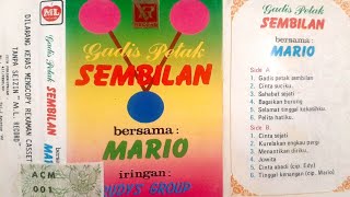Download lagu Lagu Pop Mandarin Mario - Gadis Petak Sembilan mp3