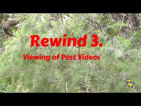 Various Ways of Removing Bees from Supers - R 3. #SeriousHobbyistBeek