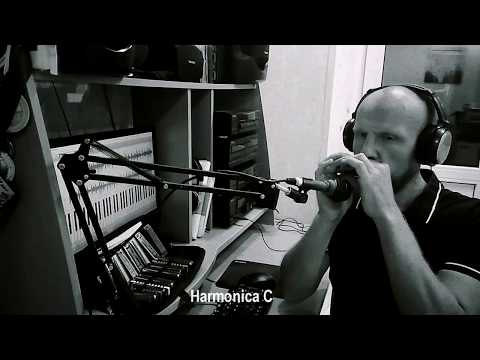 Dubharp harmonica cover - Conscious Sounds - Talk Too Much Version (Kraftwerk - das Model)