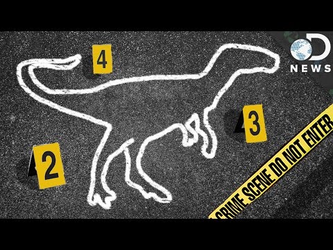 如果小行星没有杀死所有的恐龙,那是什么?(If An Asteroid Didn’t Kill All The Dinosaurs, What Did?)