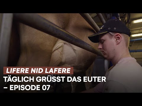 Täglich grüsst das Euter | Lifere, nid lafere | E07 | Fabian bei Melken | Swissmilk (2023)