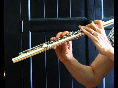 Custom Powell Handmade Flute (used) For Sale