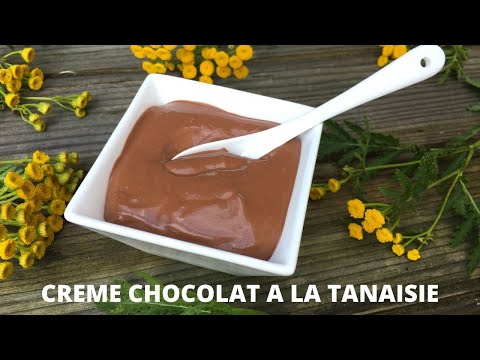 Crème chocolat à la tanaisie