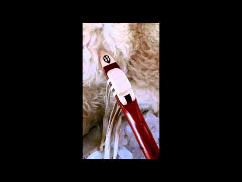 Key of Low D 7 Hole Extended Scale Single flute of Padauk and Curly Maple accents
