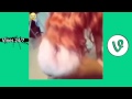Twerking Vines Part 3