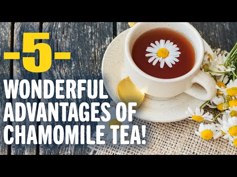 5 Wonderful Advantages of Chamomile Tea! | Benefits of | Healthy Living Tips