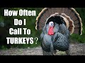 How Often To Call To Turkeys Turkey Hunting Tips