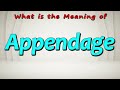 What Is The Meaning Of Appendage