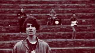 The Hubbards - Bedbugs