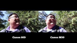Canon M50 vs Canon 80D Video Test